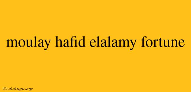 Moulay Hafid Elalamy Fortune