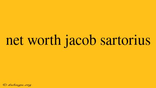 Net Worth Jacob Sartorius