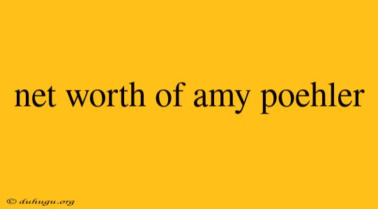 Net Worth Of Amy Poehler