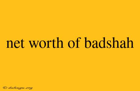 Net Worth Of Badshah