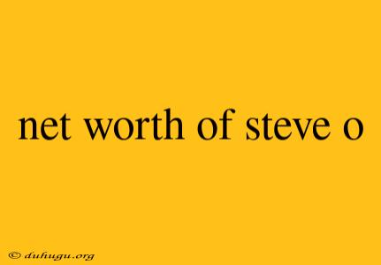 Net Worth Of Steve O