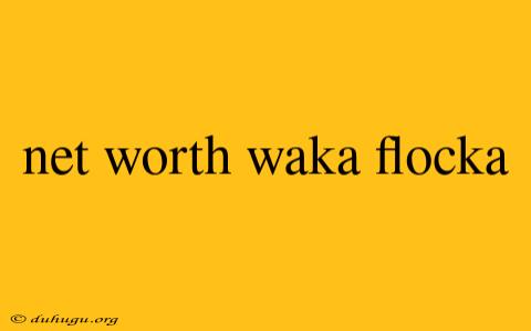 Net Worth Waka Flocka