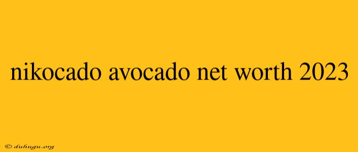 Nikocado Avocado Net Worth 2023