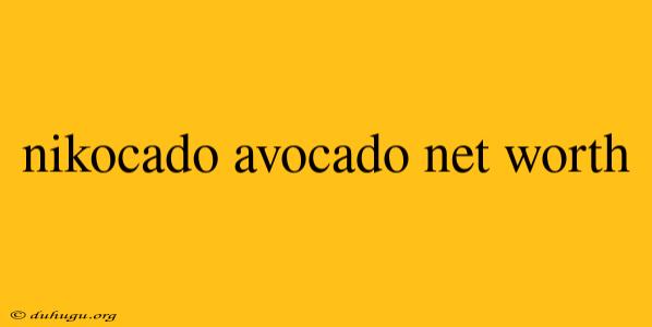 Nikocado Avocado Net Worth