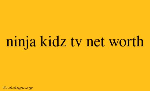 Ninja Kidz Tv Net Worth