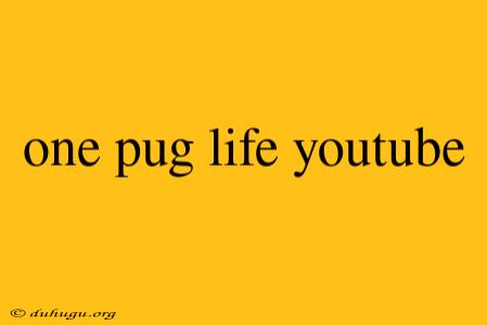 One Pug Life Youtube