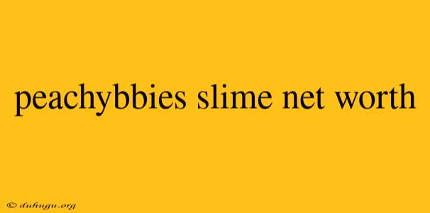 Peachybbies Slime Net Worth