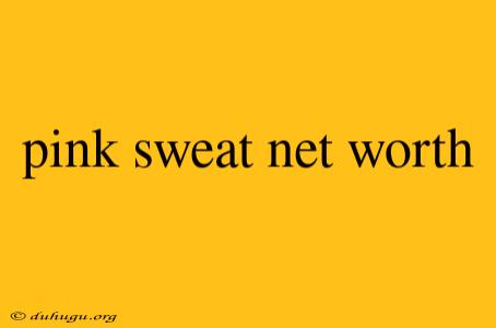 Pink Sweat Net Worth