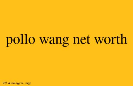 Pollo Wang Net Worth