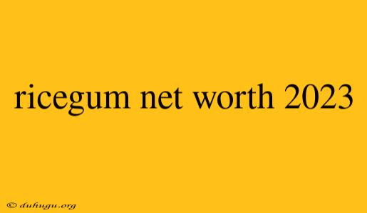 Ricegum Net Worth 2023