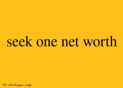 Seek One Net Worth