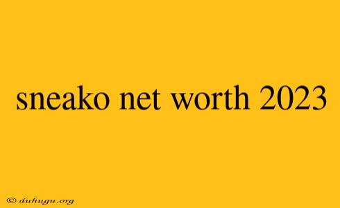 Sneako Net Worth 2023