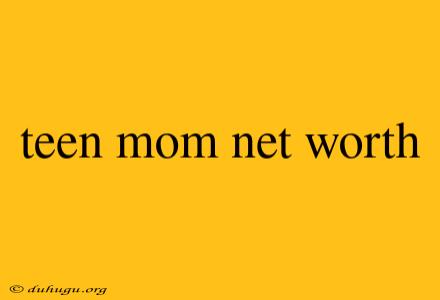 Teen Mom Net Worth