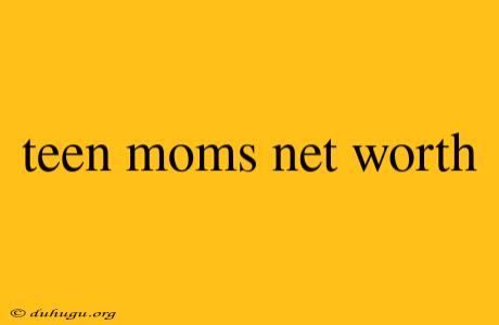 Teen Moms Net Worth