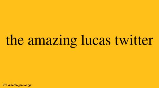 The Amazing Lucas Twitter