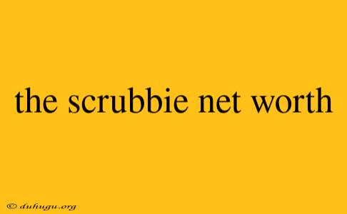 The Scrubbie Net Worth