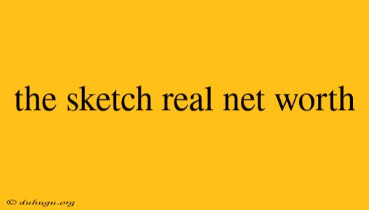 The Sketch Real Net Worth