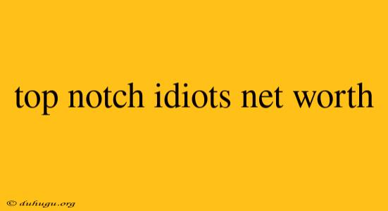 Top Notch Idiots Net Worth