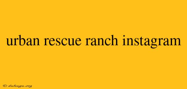 Urban Rescue Ranch Instagram