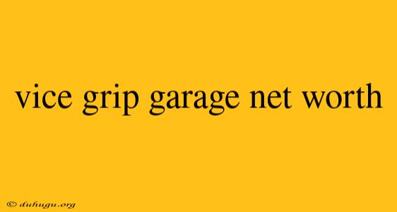 Vice Grip Garage Net Worth