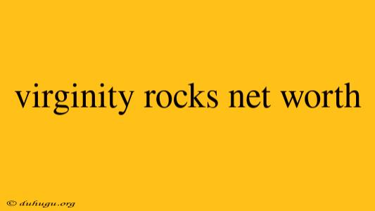 Virginity Rocks Net Worth