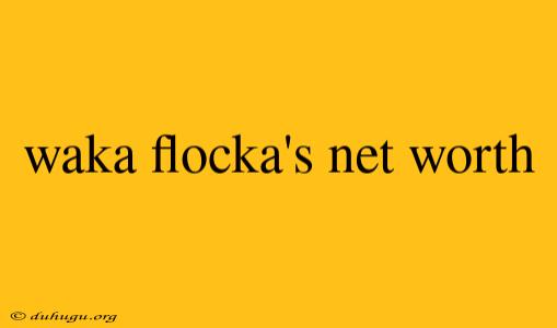 Waka Flocka's Net Worth