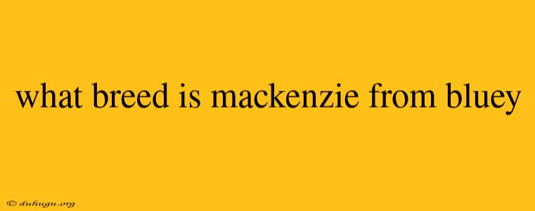 What Breed Is Mackenzie From Bluey