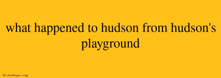 What Happened To Hudson From Hudson's Playground