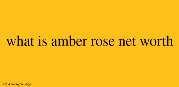 What Is Amber Rose Net Worth