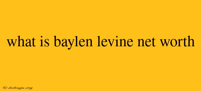 What Is Baylen Levine Net Worth