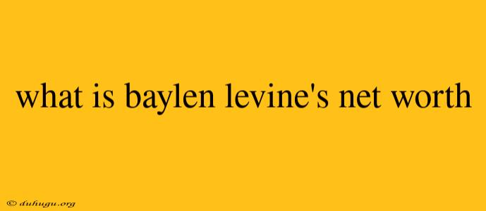 What Is Baylen Levine's Net Worth