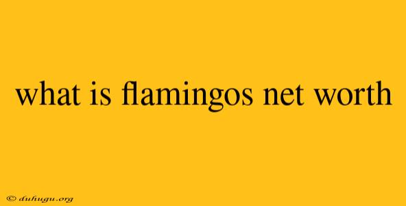 What Is Flamingos Net Worth