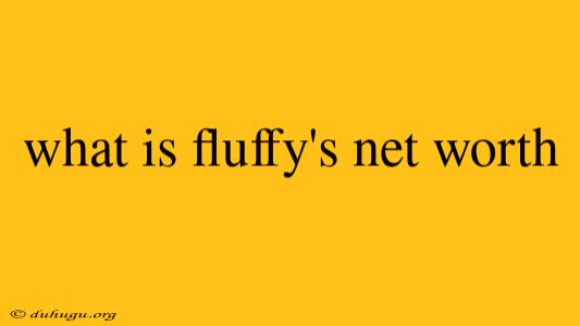 What Is Fluffy's Net Worth