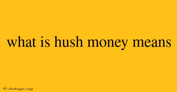 What Is Hush Money Means