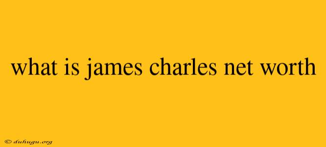 What Is James Charles Net Worth