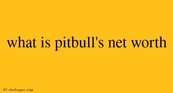 What Is Pitbull's Net Worth