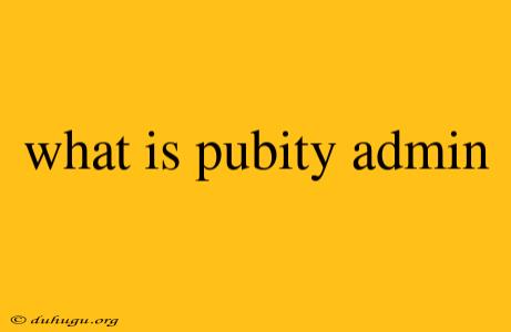 What Is Pubity Admin