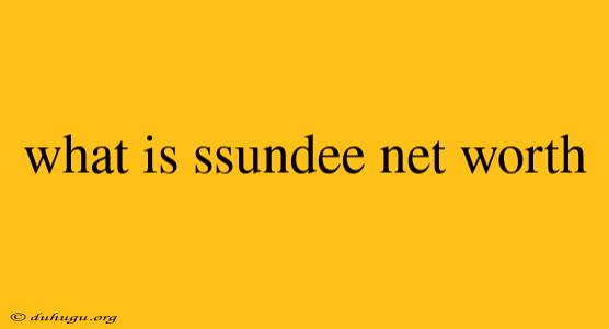 What Is Ssundee Net Worth