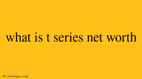 What Is T Series Net Worth