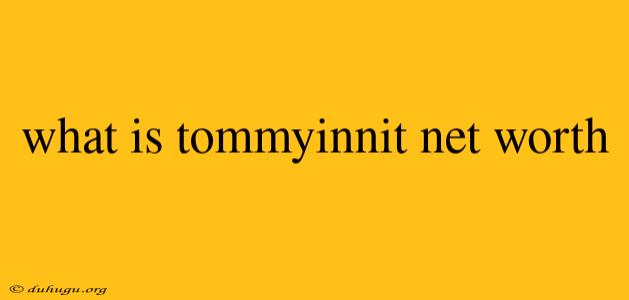 What Is Tommyinnit Net Worth