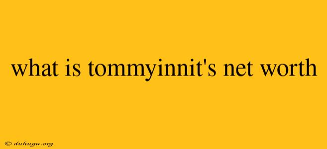 What Is Tommyinnit's Net Worth