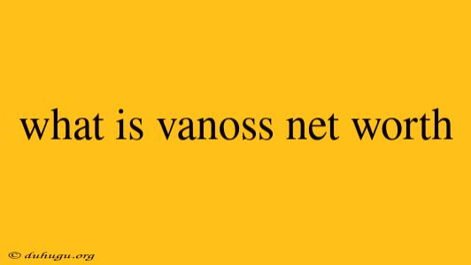 What Is Vanoss Net Worth