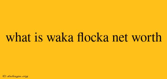 What Is Waka Flocka Net Worth