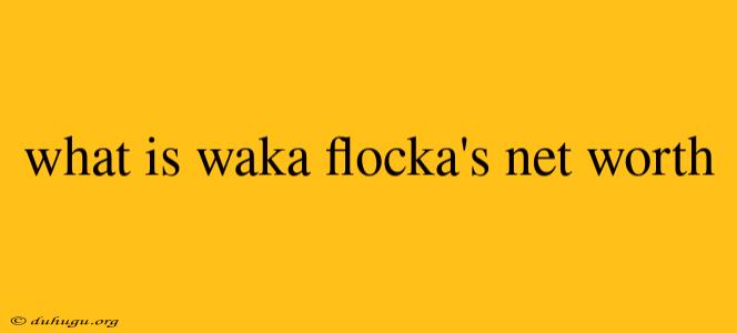 What Is Waka Flocka's Net Worth