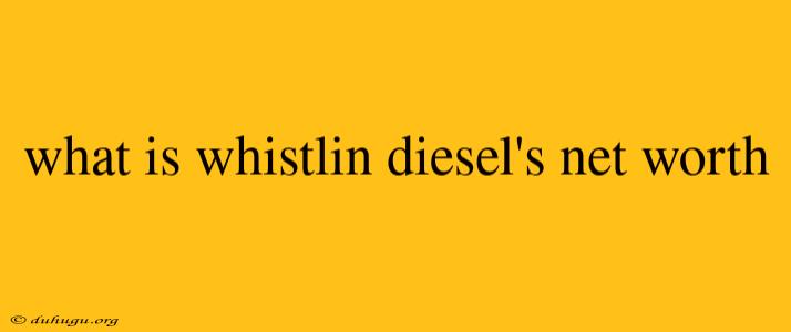 What Is Whistlin Diesel's Net Worth