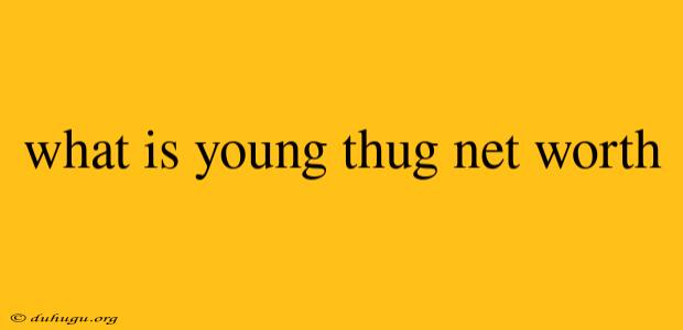 What Is Young Thug Net Worth