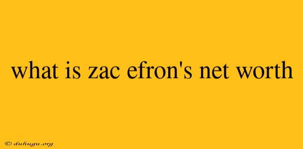 What Is Zac Efron's Net Worth