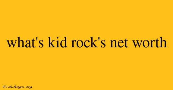 What's Kid Rock's Net Worth