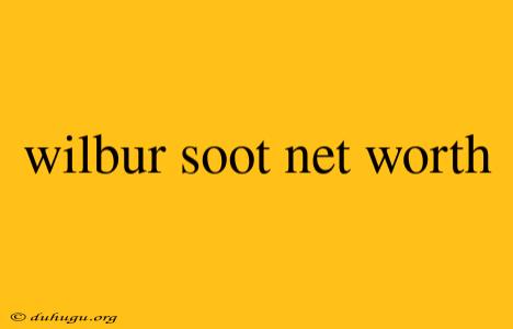 Wilbur Soot Net Worth