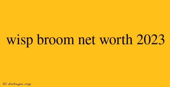 Wisp Broom Net Worth 2023